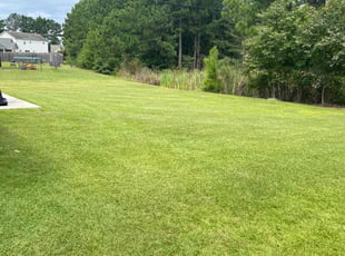 Larry K.'s Lawn Service service result