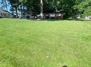 Dorothy I.'s Lawn Service service result