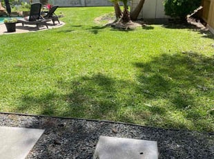 Kent S.'s Lawn Mowing Service service result