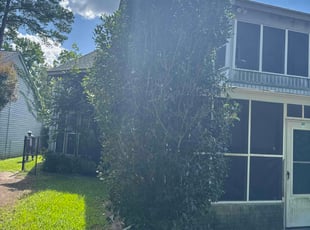 Bush Trimming by Amelia Brown for JaNice W. in West Columbia, SC