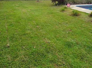 Debbie N.'s Lawn Mowing service result