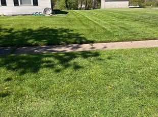 Kat J.'s Lawn Maintenance service result