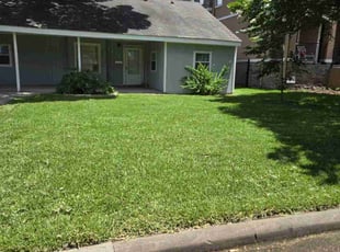 Margot A.'s Lawn Mowing service result