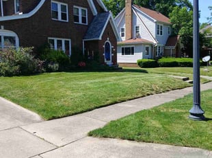 Roxanne B.'s Lawn Service service result