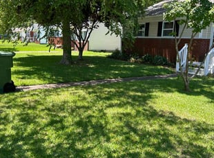 Rex R.'s Lawn Mowing service result