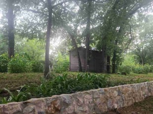 Cleanups by Emma Perales for Amber G. in Fort Worth, TX