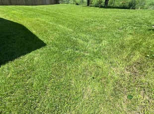 Tracy J.'s Lawn Service service result