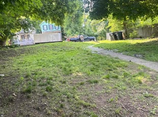 Leaf Removal by Troy Carroll for Danielle W. in Troy, NY