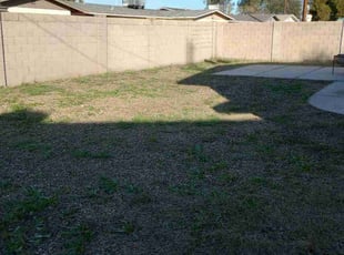 Weeding by Edgardo Canseco for William M. in Phoenix, AZ