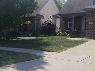 Louise B.'s Yard Cutting service result