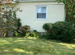 Bush Trimming by Duane Blackwood for Ejaz H. in Buffalo, NY