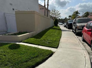 Jason T.'s Lawn Care service result