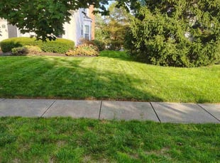 Derek S.'s Lawn Mowing service result