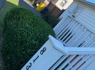 Bush Trimming by Yobani Benitez for Teri S. in Riviera Beach, MD