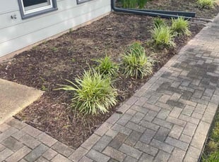 Landscaping by Nicholas Harter for Patrick C. in Virginia Beach, VA