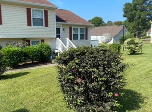 Bush Trimming by Michael Scipio for Yvonne H. in Columbia, SC