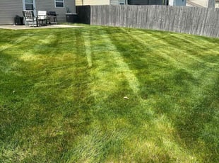 Johnny M.'s Lawn Service service result