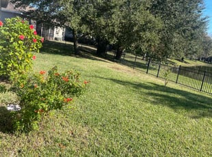 Tamia B.'s Lawn Care service result