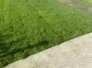 Louis P.'s Lawn Care service result