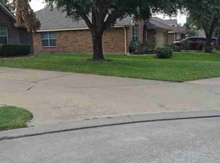MICHAEL N.'s Lawn Mowing service result