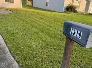 Maria G.'s Yard Cutting service result