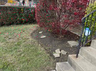 Cleanups by Vincent Daniele for Sierra S. in Pittsburgh, PA
