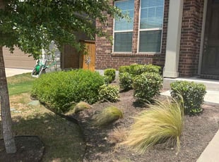 Bush Trimming by Noah Fiechtner for Ryan F. in Austin, TX
