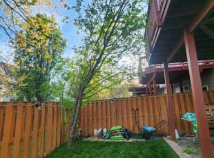 Andrew S.'s Lawn Maintenance service result