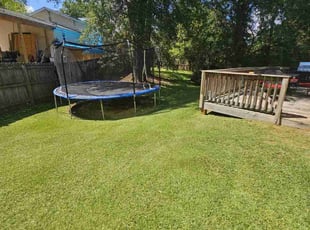 Clara M.'s Lawn Mowing service result
