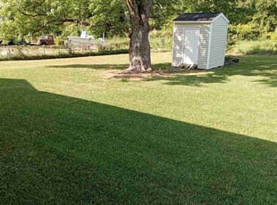 Julie M.'s Lawn Care service result