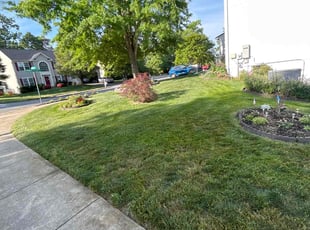 Clarence T.'s Yard Cutting service result