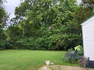 Holly H.'s Lawn Mowing service result