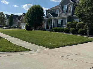 Michael N.'s Grass Cutting service result
