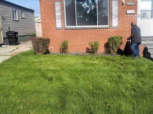 Bush Trimming by Patrick Hamilton for Tony B. in Detroit, MI