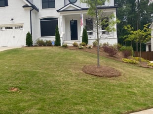 Weeding by Prince Davis for LaToya S. in Marietta, GA