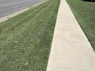 Jeremy R.'s Lawn Service service result