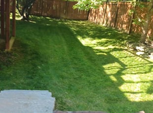 Calvin R.'s Grass Cutting service result