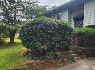 Bush Trimming by Kevin Adams for Bonita C J. in Lithonia, GA