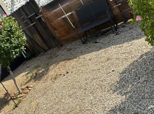 Leaf Removal by Robert Thomas for Ashley P. in Folsom, CA