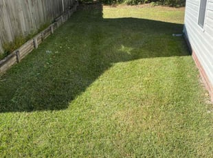 Roxie W.'s Lawn Mowing service result