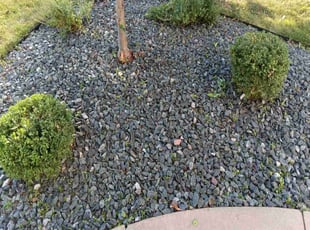 Bush Trimming by Pamela Logan for Karin D. in Bettendorf, IA