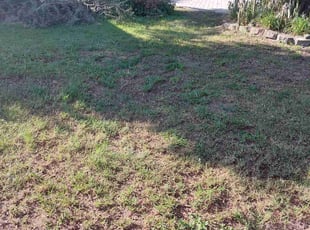 Aeration by Kenneth Hall for Josh N. in Orlando, FL