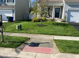 Ronald L.'s Lawn Mowing service result