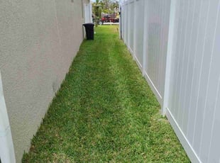William P.'s Lawn Mowing service result