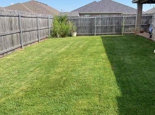 Dennis C.'s Lawn Service service result