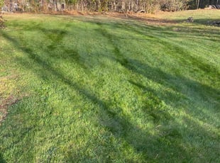 Alison B.'s Lawn Mowing Service service result