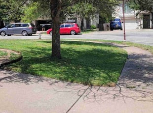 John C.'s Lawn Care service result