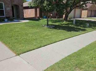 Brandy G.'s Lawn Mowing service result