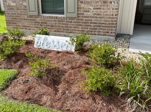 Weeding by Gary Barner for chris s. in Port Allen, LA