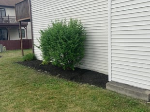 Weeding by B.J. Schuetz for Natalie S. in Westerville, OH